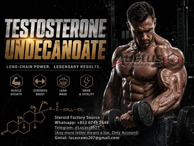 Pautas para el ciclo del undecanoato de testosterona: un análisis completo de...