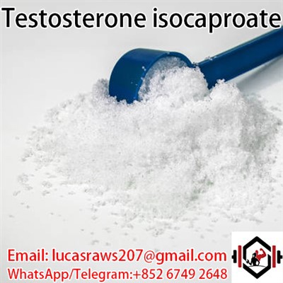 Isocaproato de testosterona CAS 15262 86 9